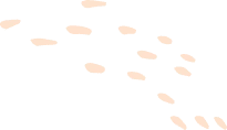 Agricultural Worker Program 6 shape 08 01 2