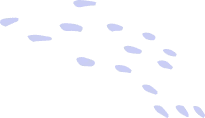 About Us 22 shape 08 2
