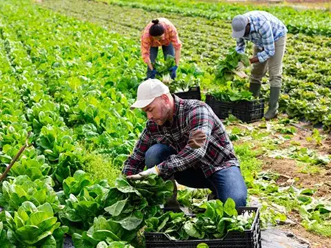 Agricultural Worker Program 2 Agricultural Worker Program
